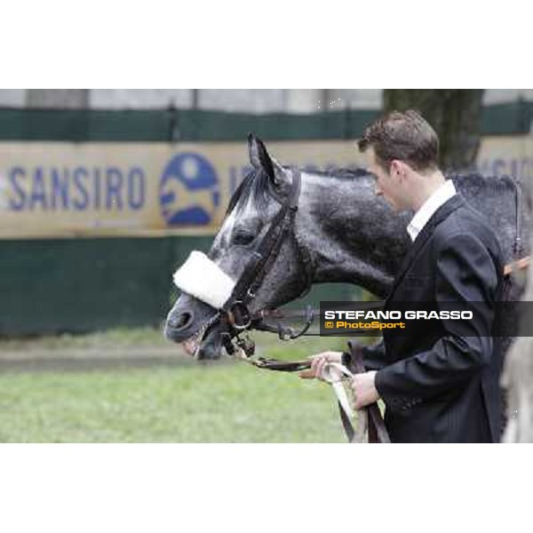 Vadamar Gran Premio di Milano - Trofeo Snai Milano - San Siro galopp racecourse,10th june 2012 ph.Stefano Grasso