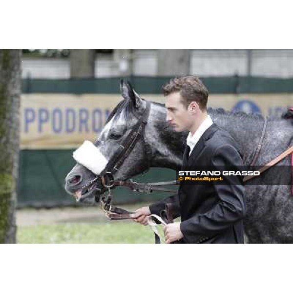 Vadamar Gran Premio di Milano - Trofeo Snai Milano - San Siro galopp racecourse,10th june 2012 ph.Stefano Grasso