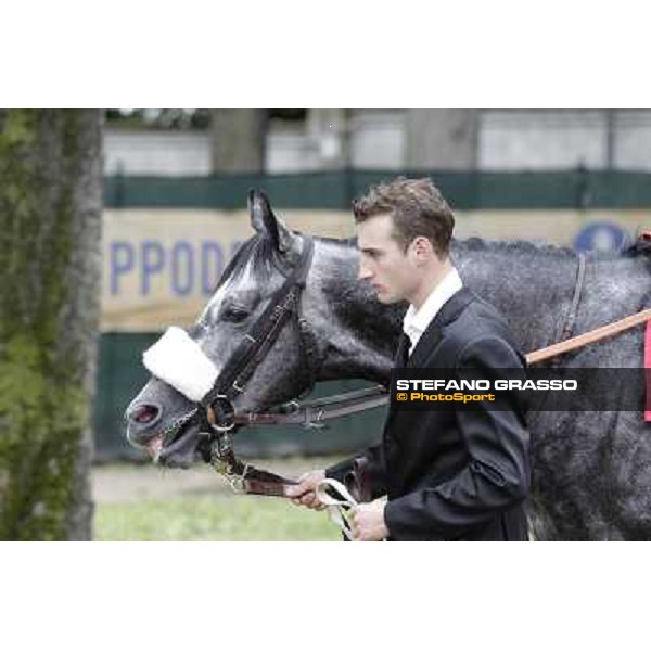 Vadamar Gran Premio di Milano - Trofeo Snai Milano - San Siro galopp racecourse,10th june 2012 ph.Stefano Grasso