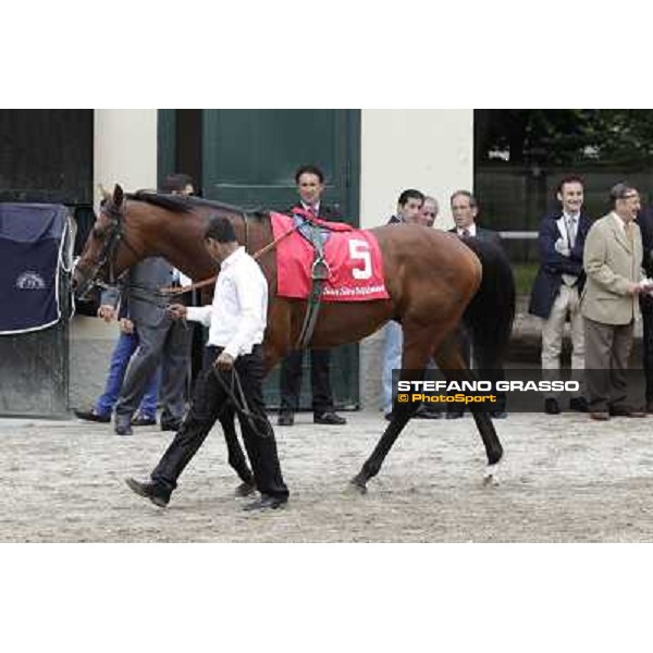 Joshua Tree Gran Premio di Milano - Trofeo Snai Milano - San Siro galopp racecourse,10th june 2012 ph.Stefano Grasso