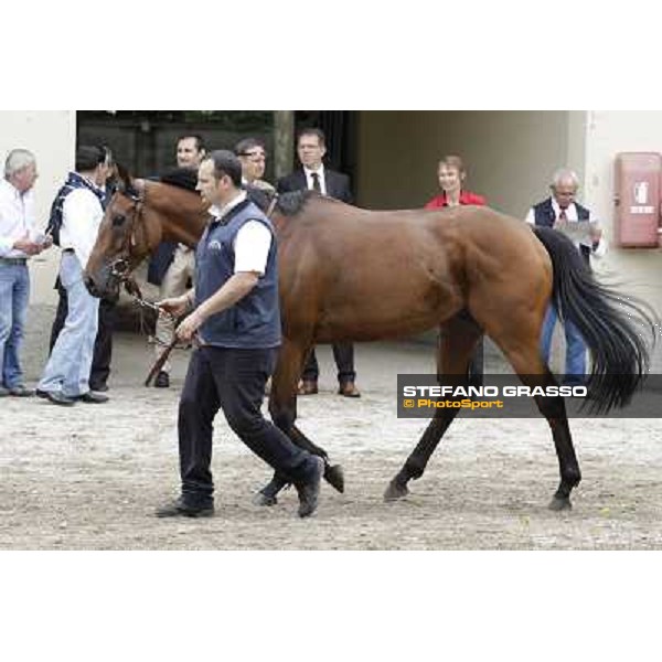 Frankenstein Gran Premio di Milano - Trofeo Snai Milano - San Siro galopp racecourse,10th june 2012 ph.Stefano Grasso