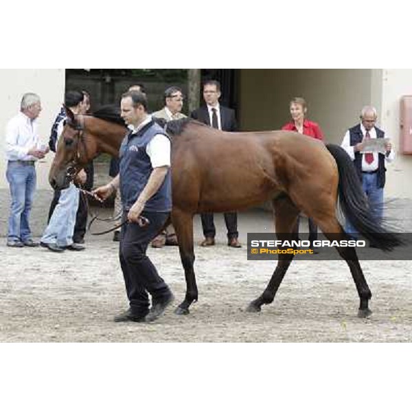 Frankenstein Gran Premio di Milano - Trofeo Snai Milano - San Siro galopp racecourse,10th june 2012 ph.Stefano Grasso