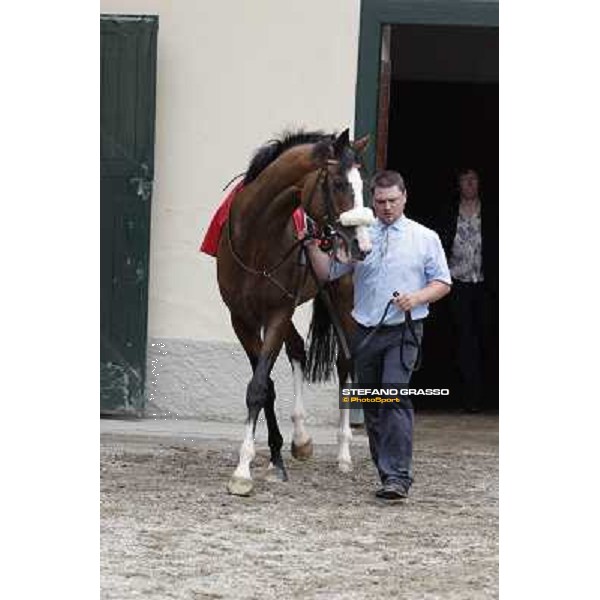 Earl of Tinsdal Gran Premio di Milano - Trofeo Snai Milano - San Siro galopp racecourse,10th june 2012 ph.Stefano Grasso