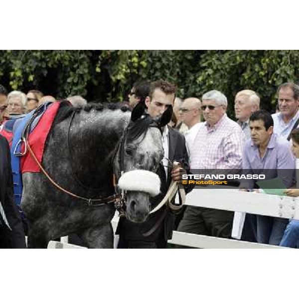 Vadamar Gran Premio di Milano - Trofeo Snai Milano - San Siro galopp racecourse,10th june 2012 ph.Stefano Grasso