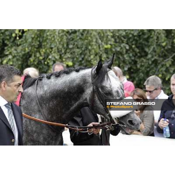 Vadamar Gran Premio di Milano - Trofeo Snai Milano - San Siro galopp racecourse,10th june 2012 ph.Stefano Grasso