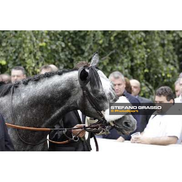 Vadamar Gran Premio di Milano - Trofeo Snai Milano - San Siro galopp racecourse,10th june 2012 ph.Stefano Grasso