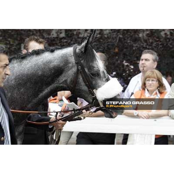 Vadamar Gran Premio di Milano - Trofeo Snai Milano - San Siro galopp racecourse,10th june 2012 ph.Stefano Grasso