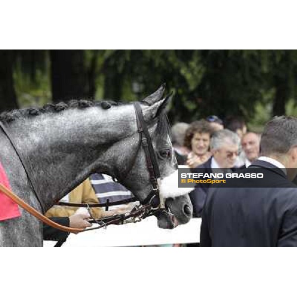 Vadamar Gran Premio di Milano - Trofeo Snai Milano - San Siro galopp racecourse,10th june 2012 ph.Stefano Grasso