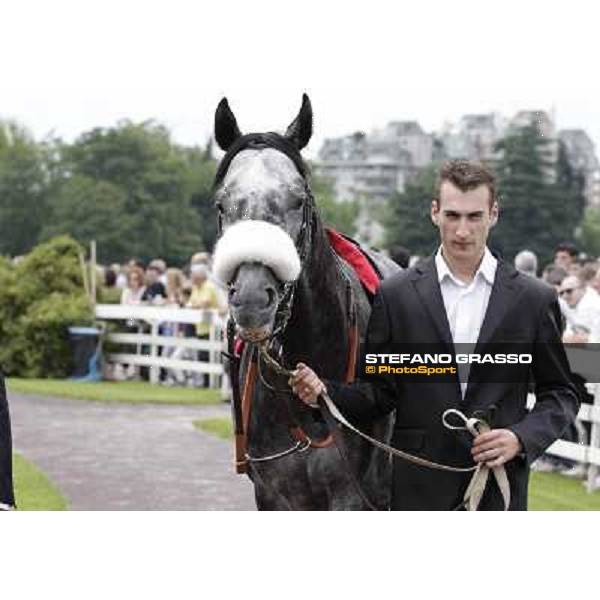 Vadamar Gran Premio di Milano - Trofeo Snai Milano - San Siro galopp racecourse,10th june 2012 ph.Stefano Grasso