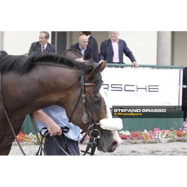 Earl of Tindsal after the triumph in the Gran Premio di Milano - Trofeo Snai Milano - San Siro galopp racecourse,10th june 2012 ph.Stefano Grasso