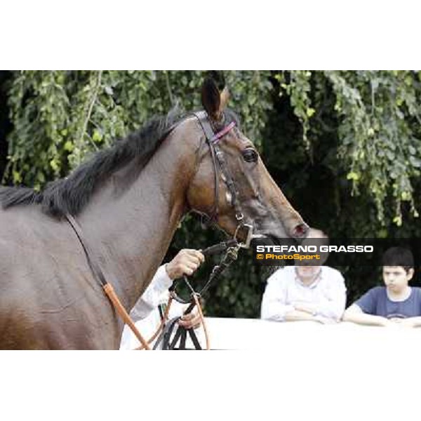 Quiza Quiza Quiza Gran Premio di Milano - Trofeo Snai Milano - San Siro galopp racecourse,10th june 2012 ph.Stefano Grasso