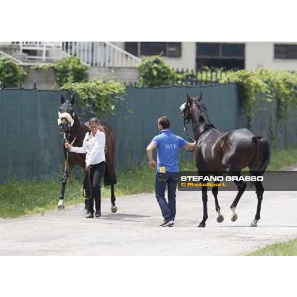 Bit of Hell returns home while Occhio della Mente arrives for the race Milano - San Siro galopp racecourse,10th june 2012 ph.Stefano Grasso