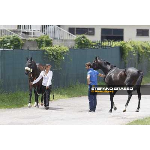 Bit of Hell returns home while Occhio della Mente arrives for the race Milano - San Siro galopp racecourse,10th june 2012 ph.Stefano Grasso