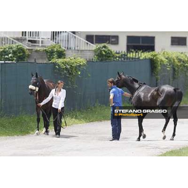 Bit of Hell returns home while Occhio della Mente arrives for the race Milano - San Siro galopp racecourse,10th june 2012 ph.Stefano Grasso