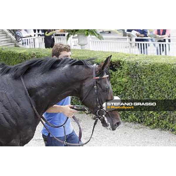 Bit of Hell Milano - San Siro galopp racecourse,10th june 2012 ph.Stefano Grasso