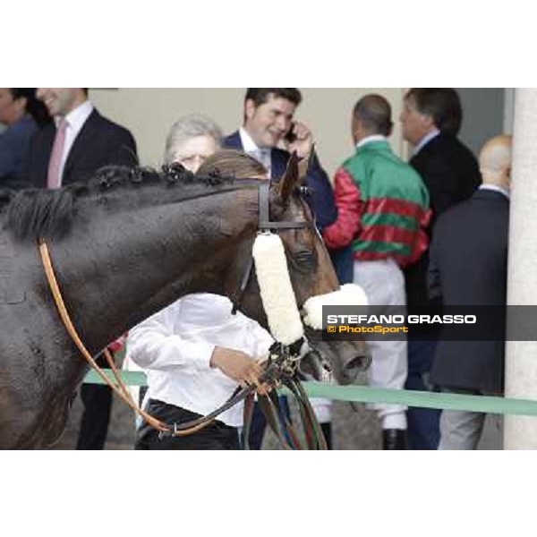 Occhio della Mente in the winner circle of Premio Trenno Milano - San Siro galopp racecourse,10th june 2012 ph.Stefano Grasso