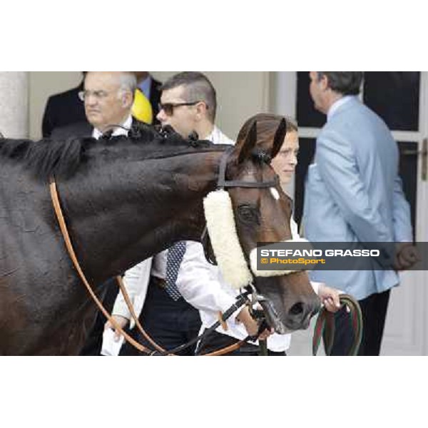 Occhio della Mente in the winner circle of Premio Trenno Milano - San Siro galopp racecourse,10th june 2012 ph.Stefano Grasso