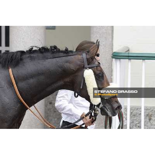 Occhio della Mente in the winner circle of Premio Trenno Milano - San Siro galopp racecourse,10th june 2012 ph.Stefano Grasso