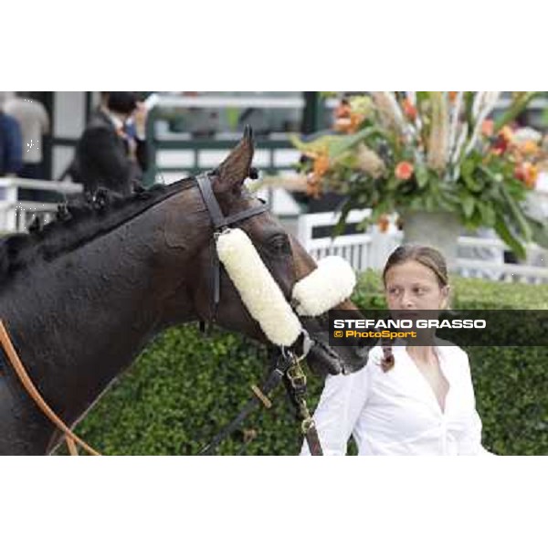 Occhio della Mente in the winner circle of Premio Trenno Milano - San Siro galopp racecourse,10th june 2012 ph.Stefano Grasso