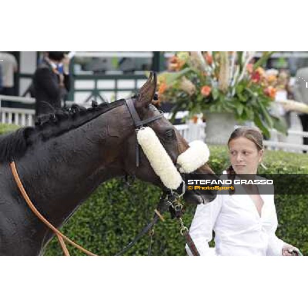 Occhio della Mente in the winner circle of Premio Trenno Milano - San Siro galopp racecourse,10th june 2012 ph.Stefano Grasso