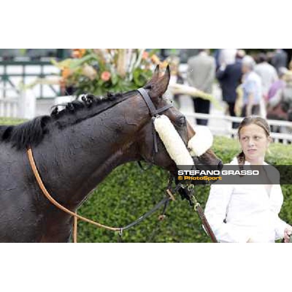 Occhio della Mente in the winner circle of Premio Trenno Milano - San Siro galopp racecourse,10th june 2012 ph.Stefano Grasso