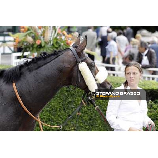 Occhio della Mente in the winner circle of Premio Trenno Milano - San Siro galopp racecourse,10th june 2012 ph.Stefano Grasso