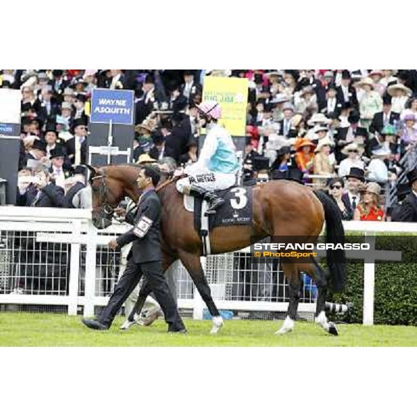 Frankel,Tom Queally up, wins the Queen Anne Stakes Royal Ascot, First Day, 19th june 2012 ph.Stefano Grasso