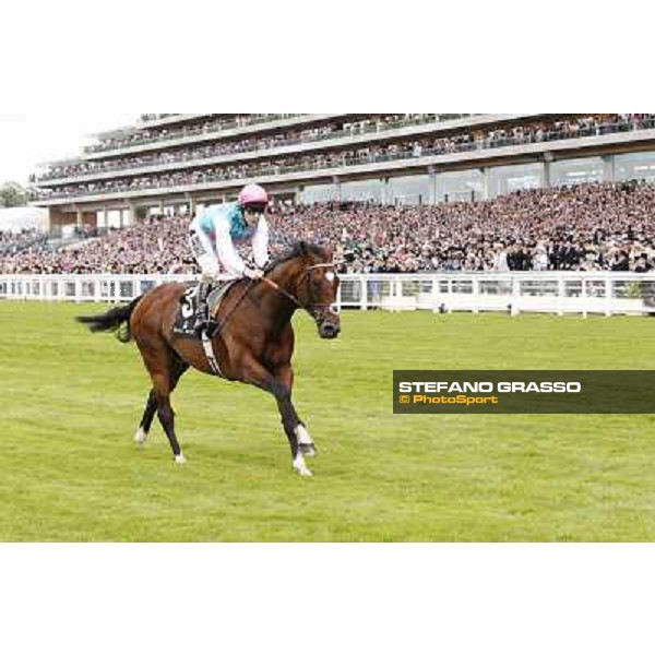 Frankel,Tom Queally up, wins the Queen Anne Stakes Royal Ascot, First Day, 19th june 2012 ph.Stefano Grasso