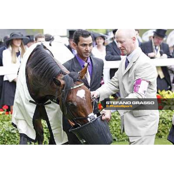 Frankel,Tom Queally up, wins the Queen Anne Stakes Royal Ascot, First Day, 19th june 2012 ph.Stefano Grasso