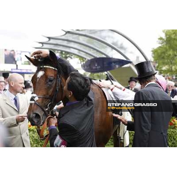 Frankel,Tom Queally up, wins the Queen Anne Stakes Royal Ascot, First Day, 19th june 2012 ph.Stefano Grasso