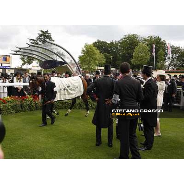 Frankel,Tom Queally up, wins the Queen Anne Stakes Royal Ascot, First Day, 19th june 2012 ph.Stefano Grasso