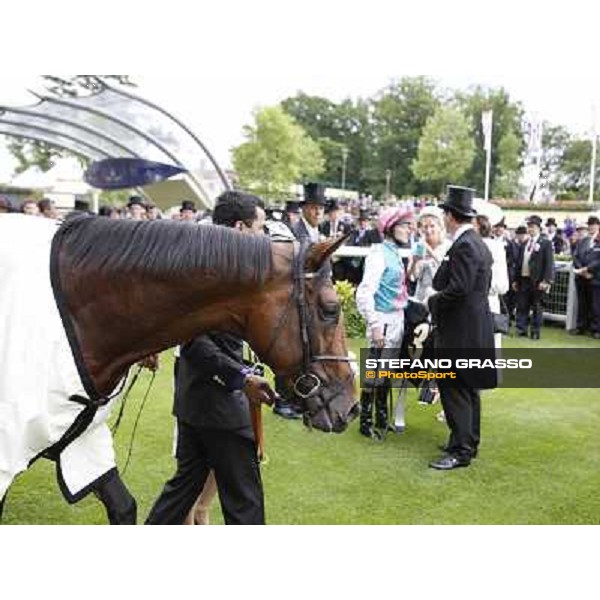 Frankel,Tom Queally up, wins the Queen Anne Stakes Royal Ascot, First Day, 19th june 2012 ph.Stefano Grasso