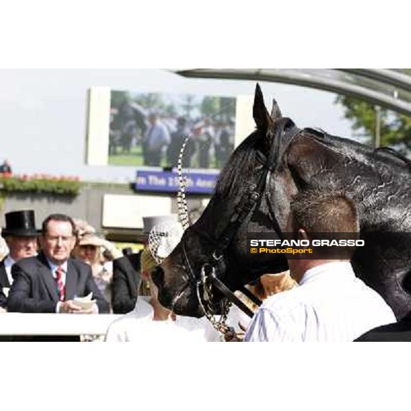 Joseph O\'Brien on So You Think wins the Prince of Wales Stakes Royal Ascot, Second Day, 20th june 2012 ph.Stefano Grasso