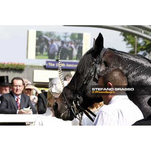 Joseph O\'Brien on So You Think wins the Prince of Wales Stakes Royal Ascot, Second Day, 20th june 2012 ph.Stefano Grasso