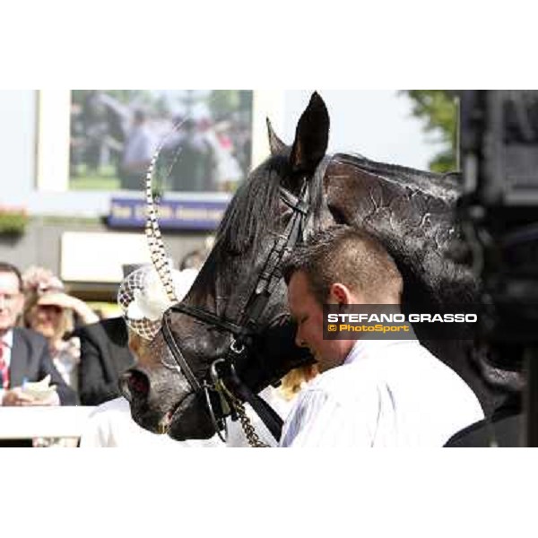 Joseph O\'Brien on So You Think wins the Prince of Wales Stakes Royal Ascot, Second Day, 20th june 2012 ph.Stefano Grasso