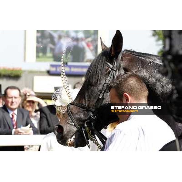 Joseph O\'Brien on So You Think wins the Prince of Wales Stakes Royal Ascot, Second Day, 20th june 2012 ph.Stefano Grasso