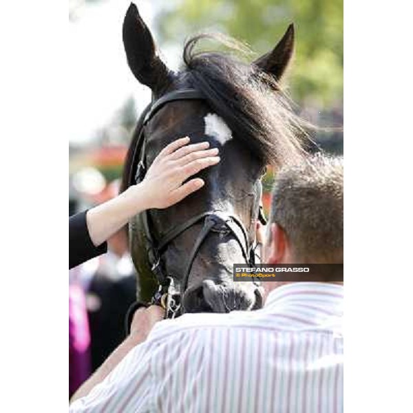 Joseph O\'Brien on So You Think wins the Prince of Wales Stakes Royal Ascot, Second Day, 20th june 2012 ph.Stefano Grasso