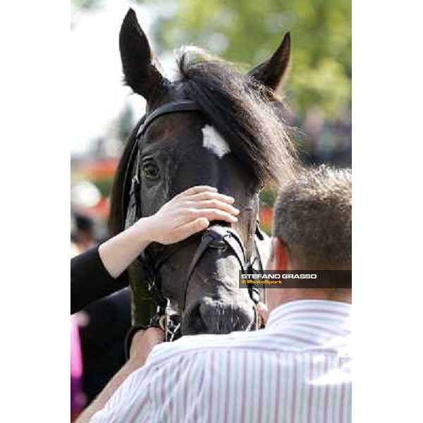 Joseph O\'Brien on So You Think wins the Prince of Wales Stakes Royal Ascot, Second Day, 20th june 2012 ph.Stefano Grasso