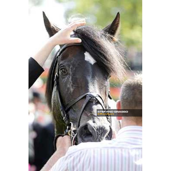 Joseph O\'Brien on So You Think wins the Prince of Wales Stakes Royal Ascot, Second Day, 20th june 2012 ph.Stefano Grasso