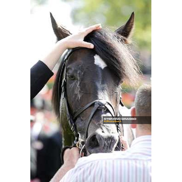 Joseph O\'Brien on So You Think wins the Prince of Wales Stakes Royal Ascot, Second Day, 20th june 2012 ph.Stefano Grasso