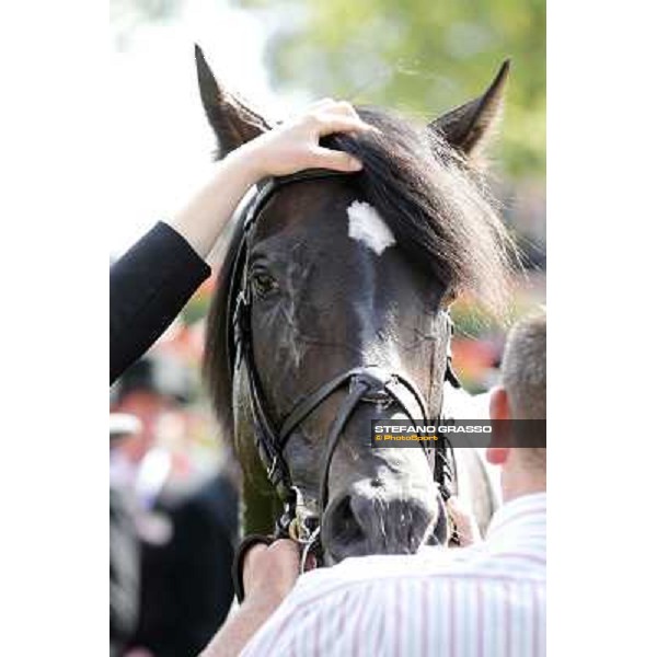 Joseph O\'Brien on So You Think wins the Prince of Wales Stakes Royal Ascot, Second Day, 20th june 2012 ph.Stefano Grasso