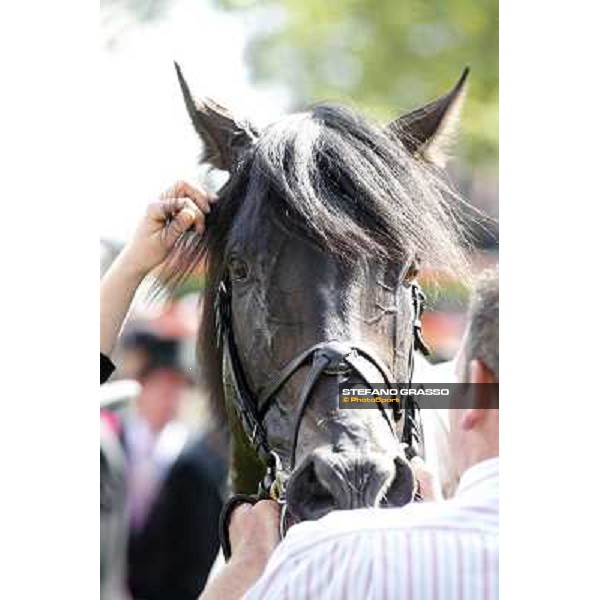 Joseph O\'Brien on So You Think wins the Prince of Wales Stakes Royal Ascot, Second Day, 20th june 2012 ph.Stefano Grasso