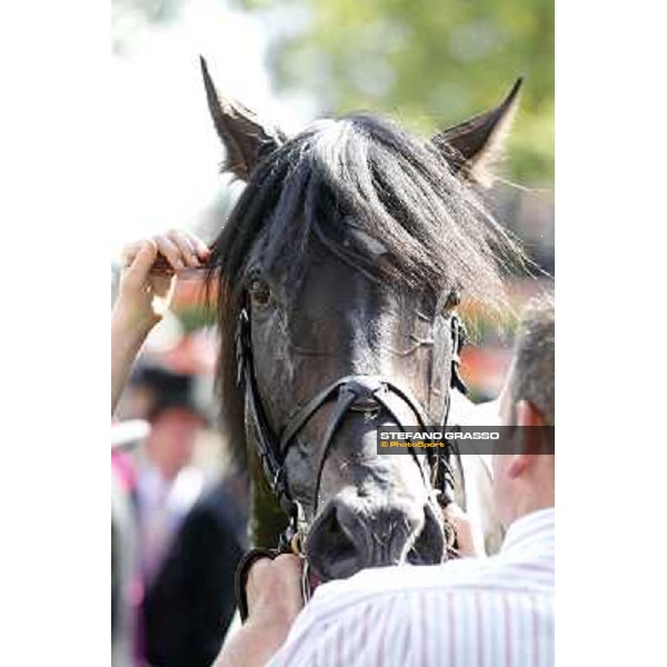 Joseph O\'Brien on So You Think wins the Prince of Wales Stakes Royal Ascot, Second Day, 20th june 2012 ph.Stefano Grasso