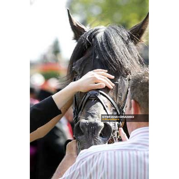 Joseph O\'Brien on So You Think wins the Prince of Wales Stakes Royal Ascot, Second Day, 20th june 2012 ph.Stefano Grasso