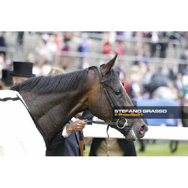 William Buick on Fallen for You wins the Coronation Stakes Royal Ascot, Fourth day - 22st june 2012 ph.Stefano Grasso