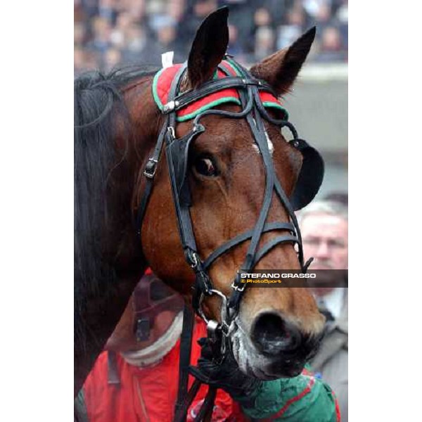 Equinox Bi Paris Vincennes, 29th january 2005 ph. Stefano Grasso