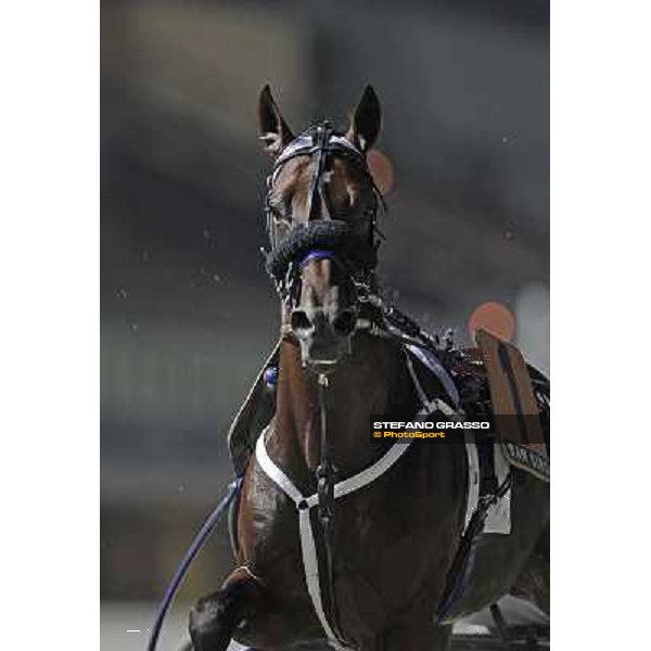 Pascià Lest warming up before winning the Gran Premio Nazionale - Memorial Gianni Ferraris Milan - San Siro trot racecourse, 30th june 2012 ph.Stefano Grasso