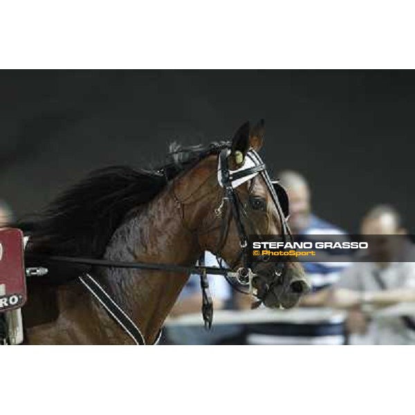 Potenza Om Milano - San Siro trot racecourse, 30th june 2012 ph.Stefano Grasso