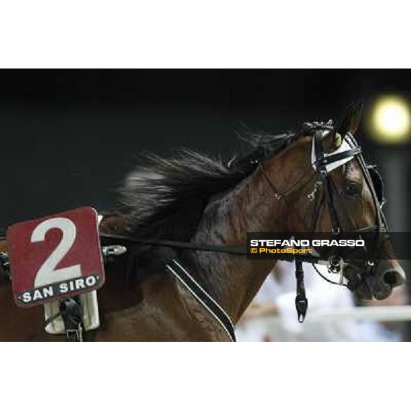 Potenza Om Milano - San Siro trot racecourse, 30th june 2012 ph.Stefano Grasso