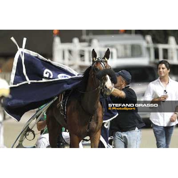 Enrico Bellei after winning the Gran Premio Nazionale Filly Milano - San Siro trot racecourse, 30th june 2012 ph.Stefano Grasso